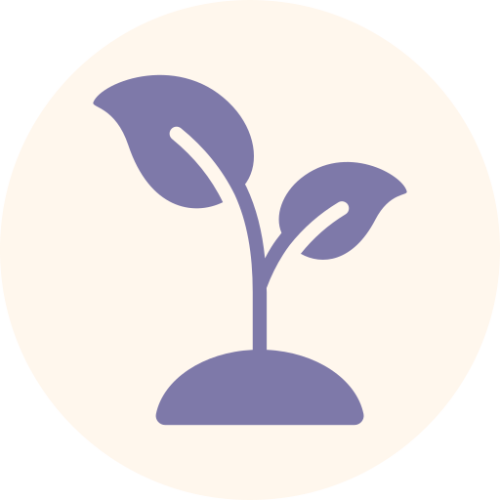 sprout